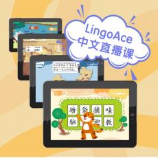 Lingoace1对1中文直播课试听
